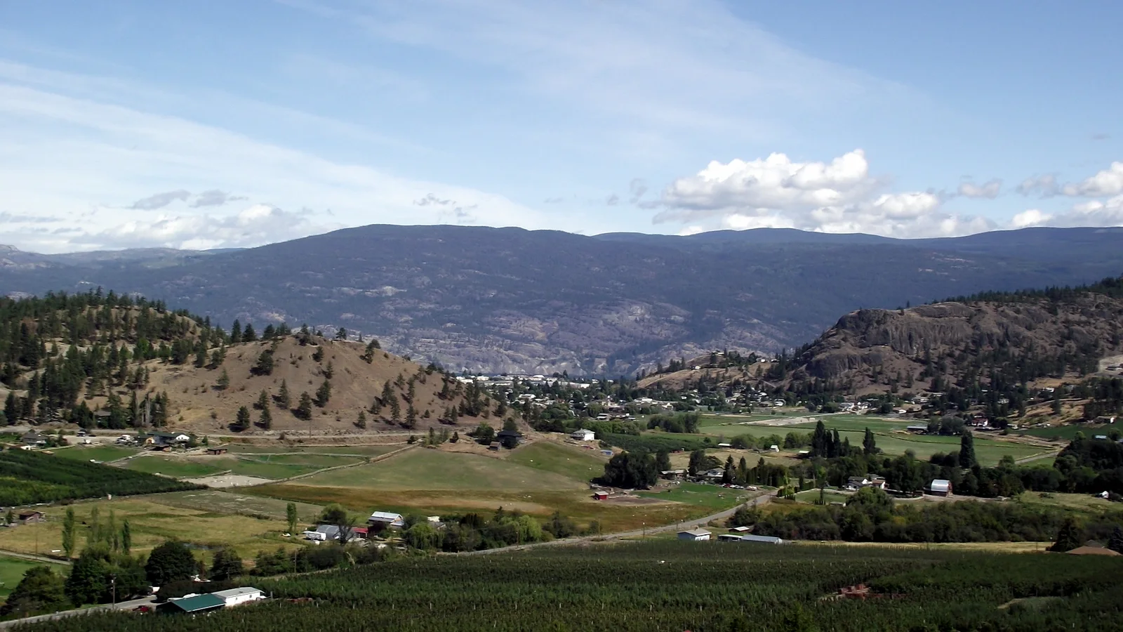 Orchards and rolling hills in Summerland